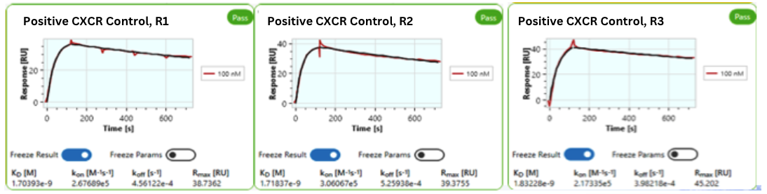 Three SPR sensorgrams for the positive CXCR control run once per round, all Pass, returning KD of 1.70, 1.72 and 1.83 nM across rounds 1 to 3.