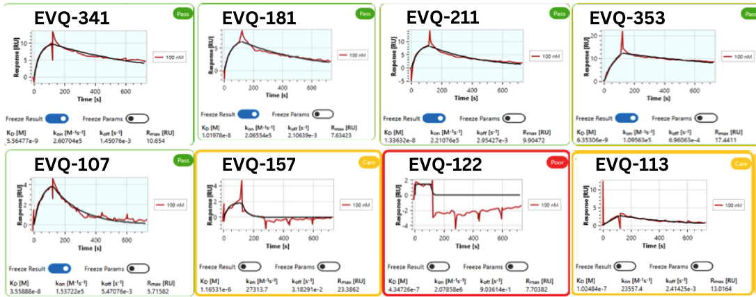 Eight SPR sensorgrams for round-3 candidates EVQ-341, 181, 211, 353, 107, 157, 122 and 113, each showing measured response over time at 100 nM analyte with a fitted 1:1 binding model and its KD, kon, koff and Rmax; qualifying candidates are labeled Pass, EVQ-157 and EVQ-113 Caution, EVQ-122 Poor.